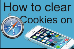 how to delete Cookies on iPhone
