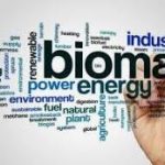 how does biomass work
