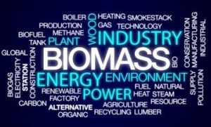 how does biomass work