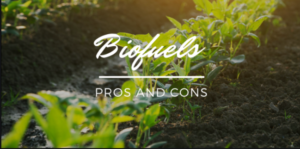 pros and cons of biofuels